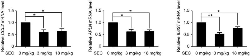 Fig. 8