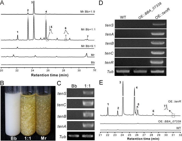 FIG 2