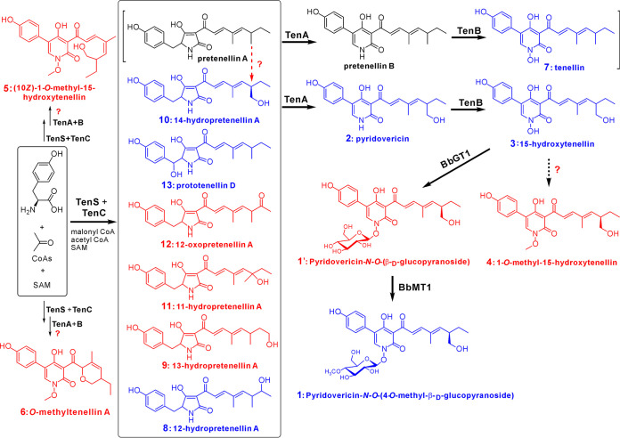 FIG 4