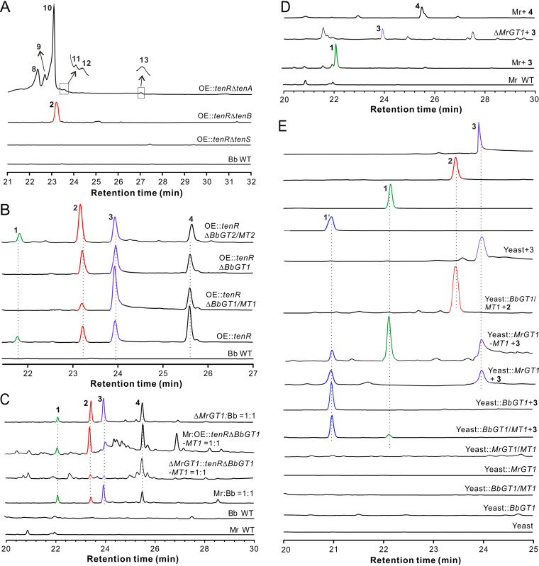 FIG 3