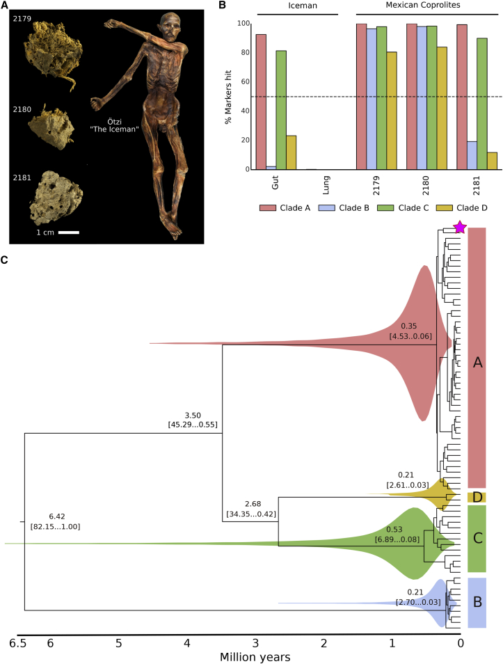 Figure 5