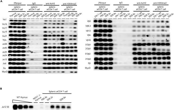 Figure 6