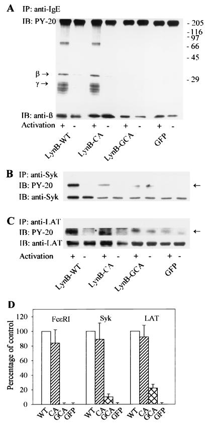 FIG. 5