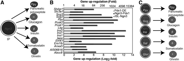 FIG. 2.