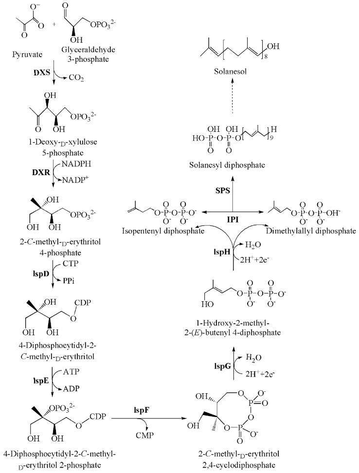 Scheme 1