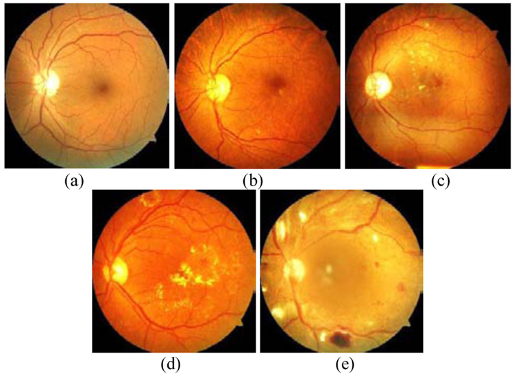 Fig. 1.