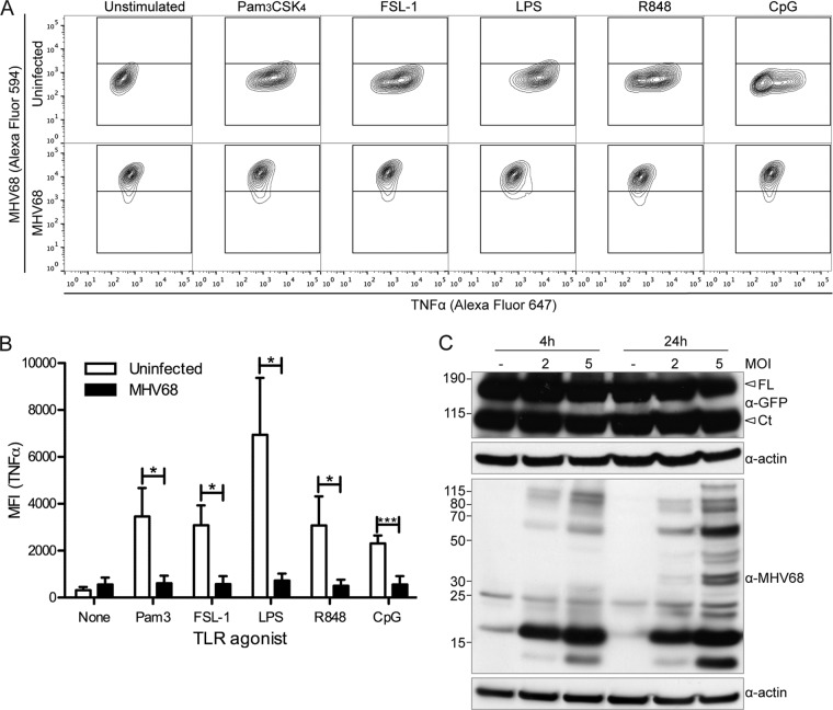 FIG 3