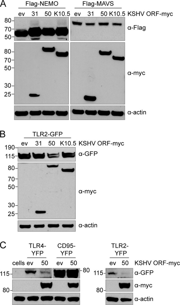 FIG 10