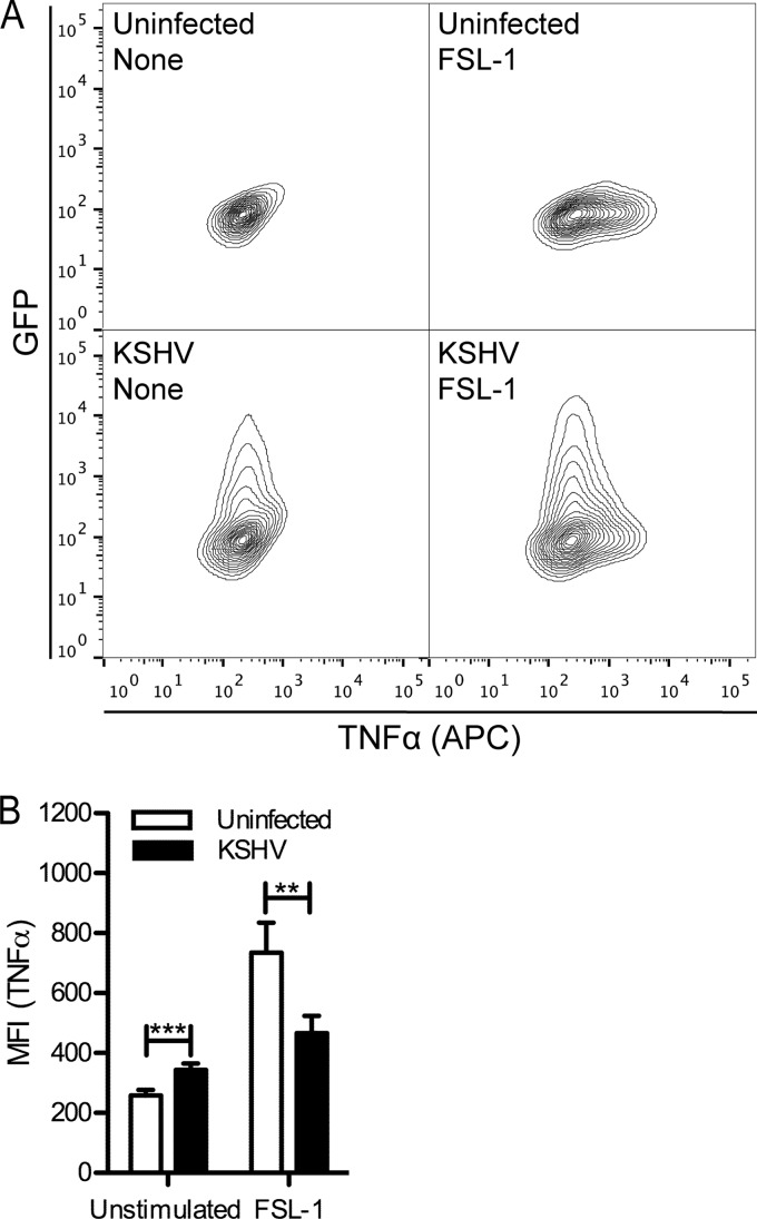 FIG 7