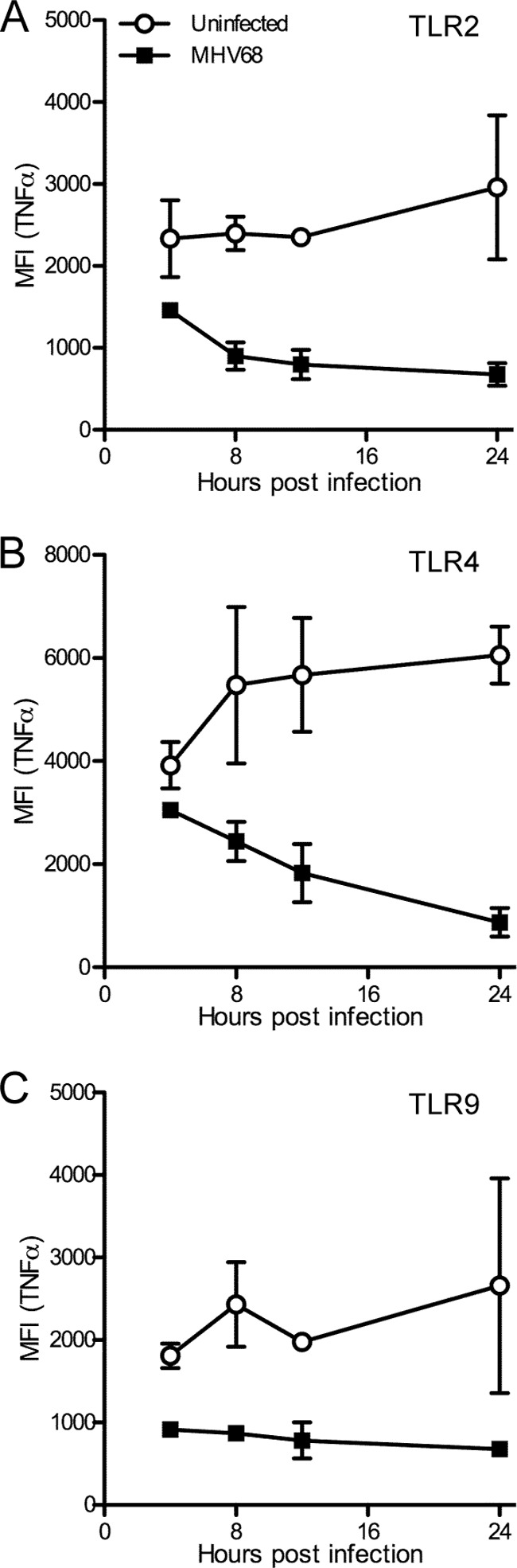 FIG 5