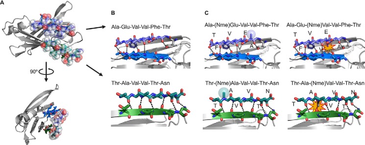 FIGURE 4.