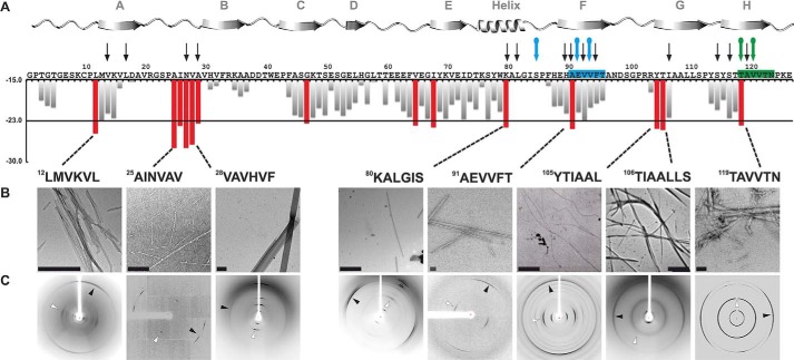 FIGURE 1.