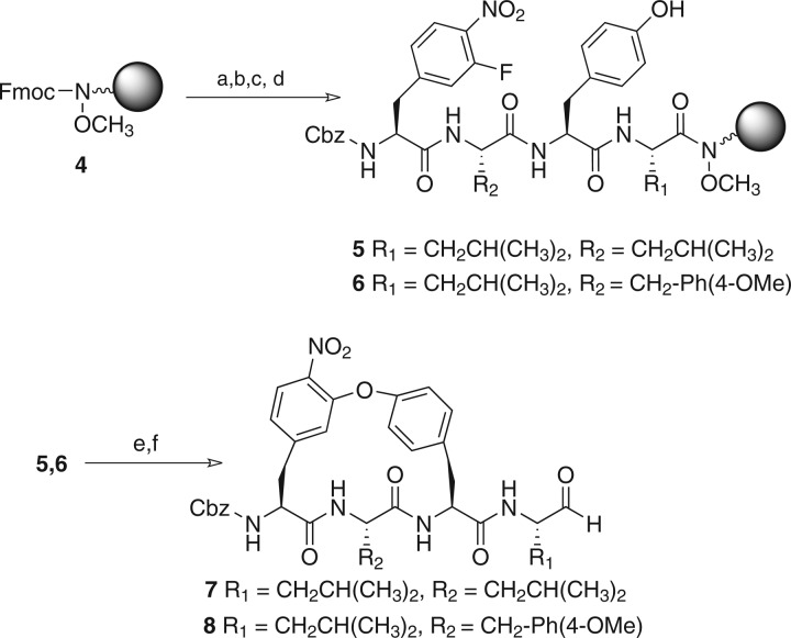 Scheme 2