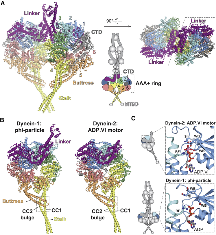 Figure 3