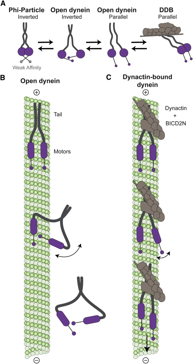 Figure 7