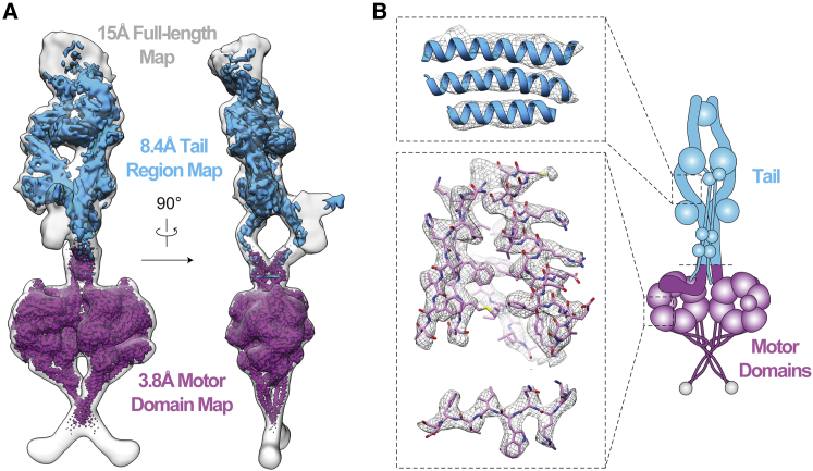 Figure 1