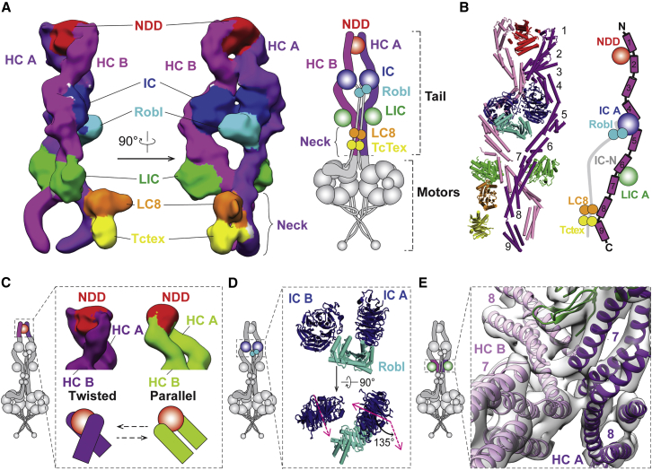 Figure 2