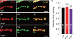 Figure 1—figure supplement 1.