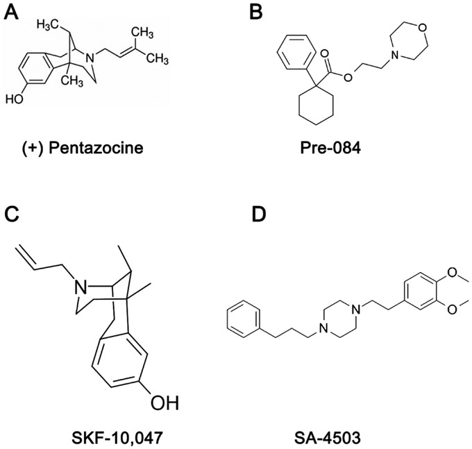 Fig. 1.