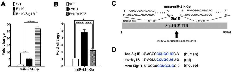 Fig. 12.