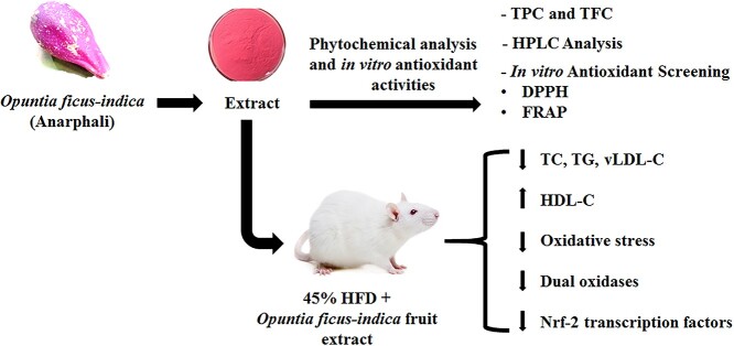 graphic file with name tfac070ga.jpg