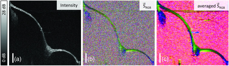 Fig. 5