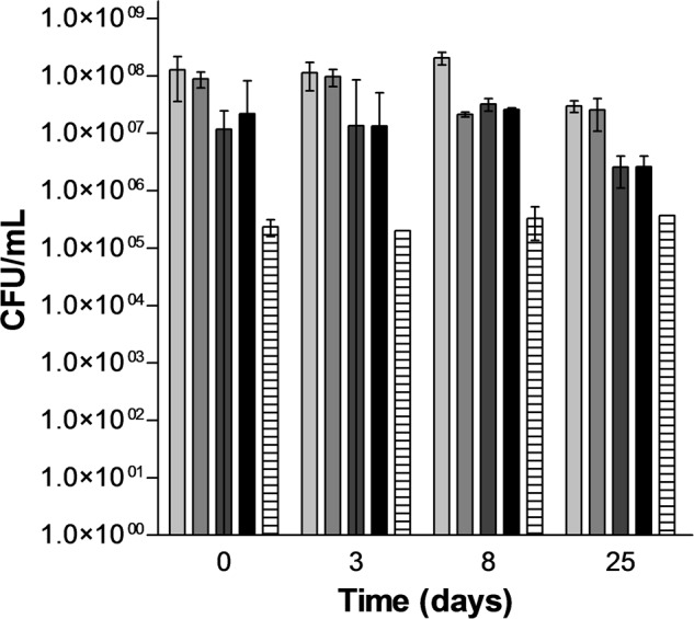 FIGURE 3