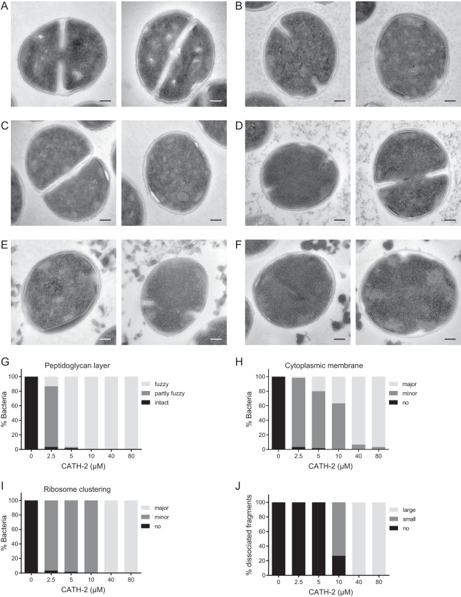 FIG 3 