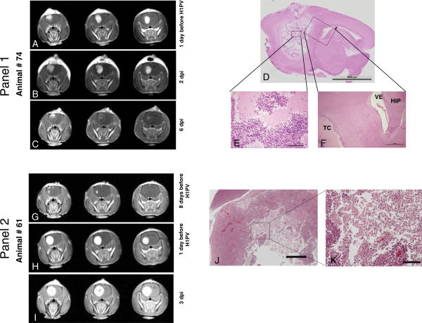 Fig. 3.