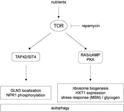 FIG. 8.