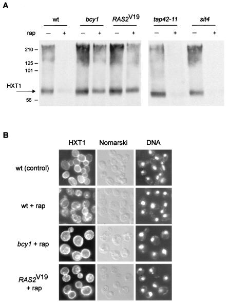 FIG. 5.