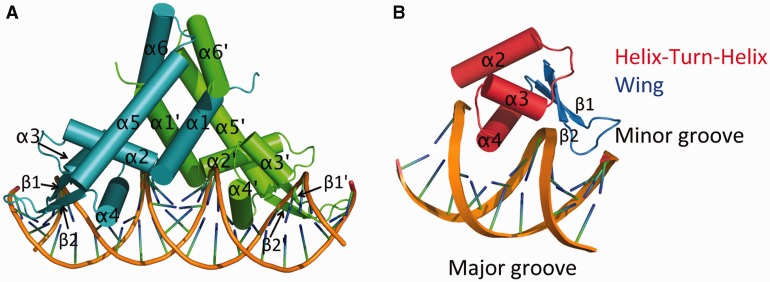 Figure 2.