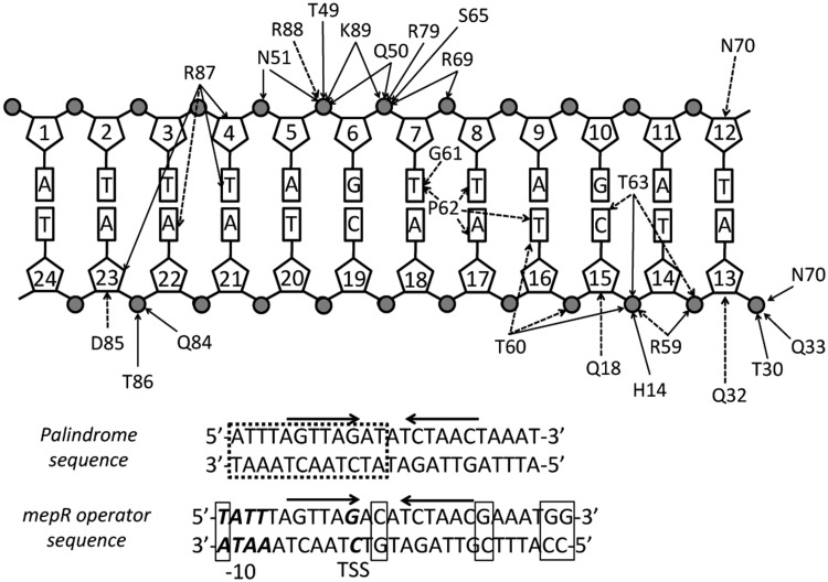 Figure 3.