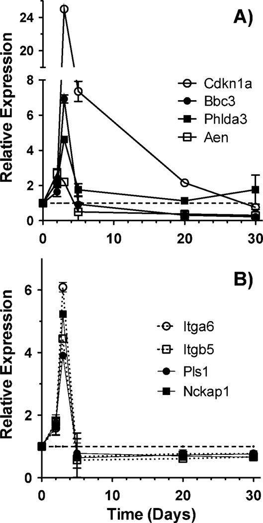 FIG. 6