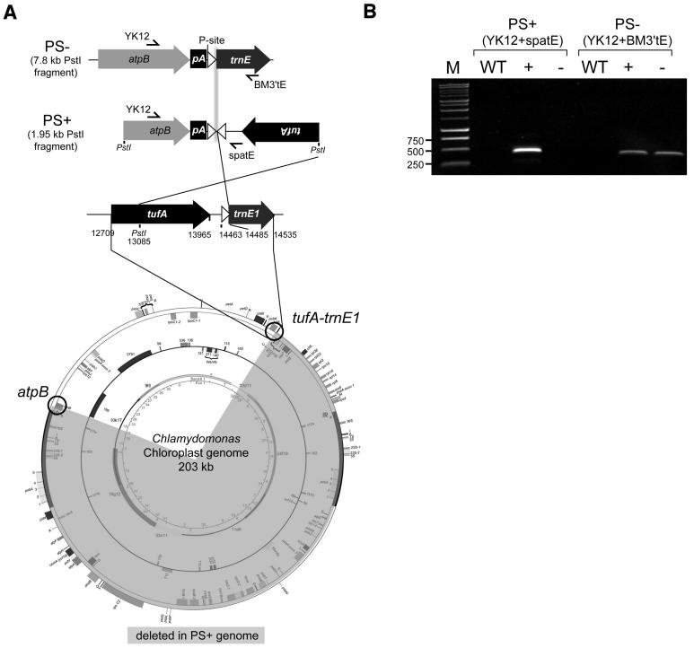 Figure 4.