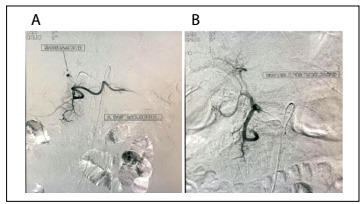 Figure 3: