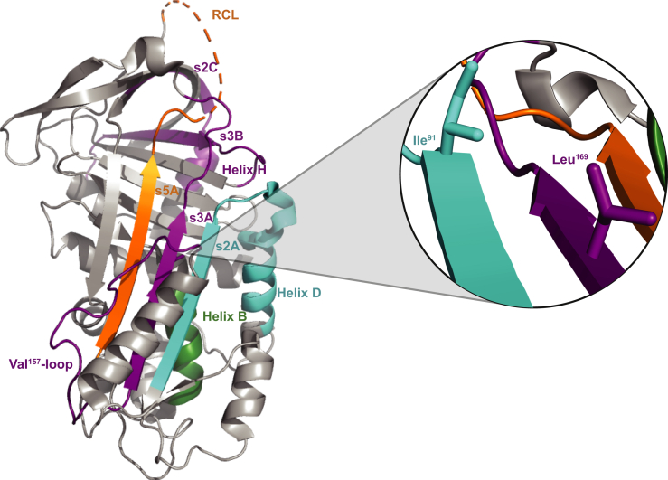 Figure 4