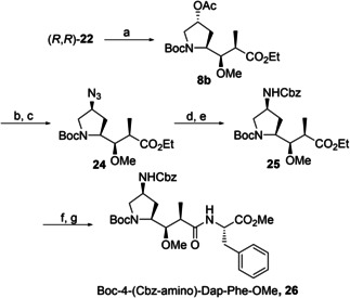 Scheme 4