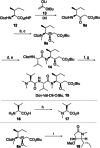 Scheme 1
