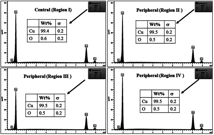 Fig. 12