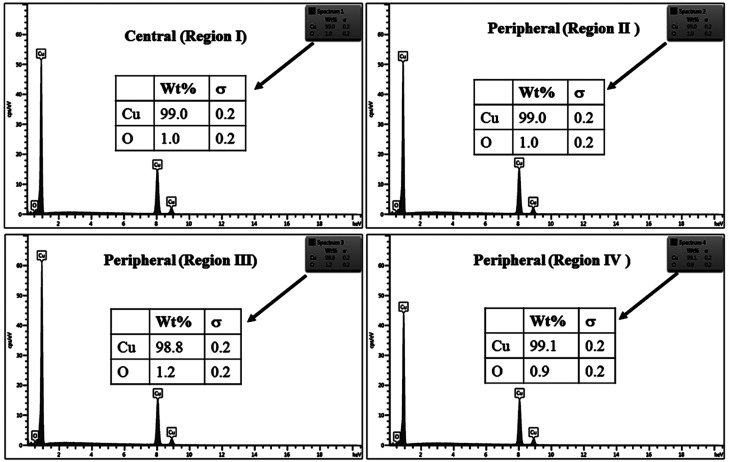 Fig. 11