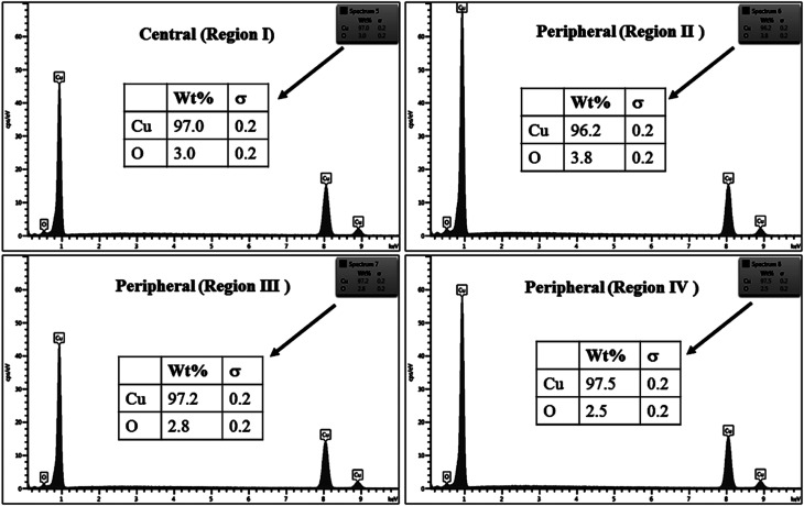 Fig. 10