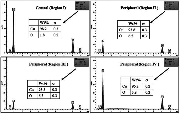 Fig. 9