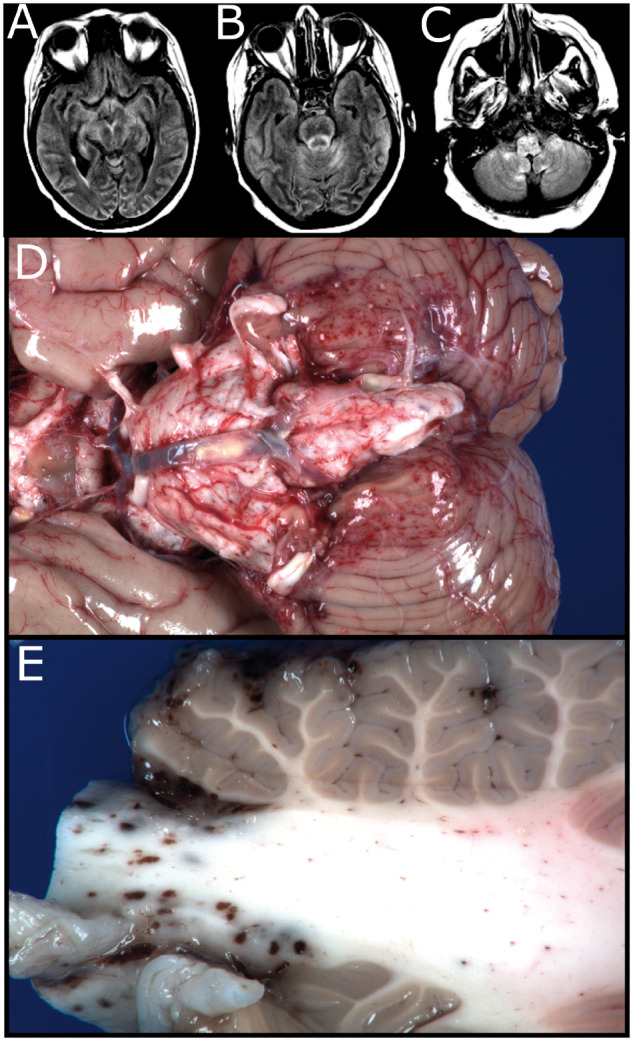 FIGURE 1.