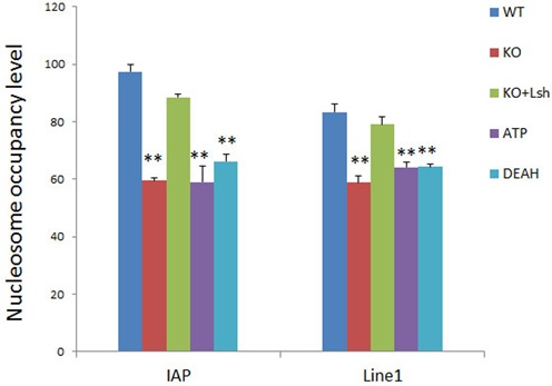 Figure 6.