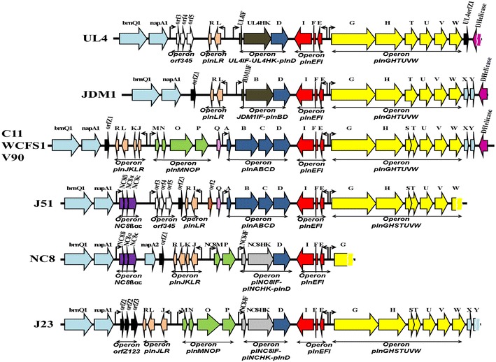 Figure 2
