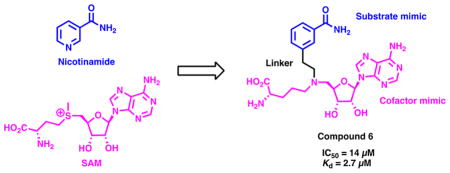 graphic file with name nihms940261u1.jpg