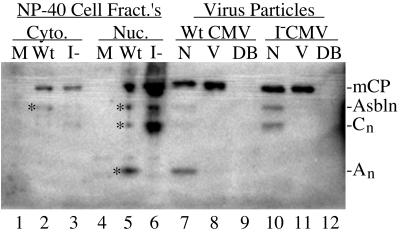 FIG. 8.