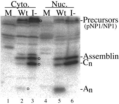 FIG. 7.