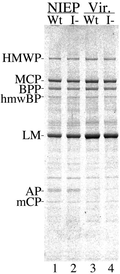 FIG. 5.